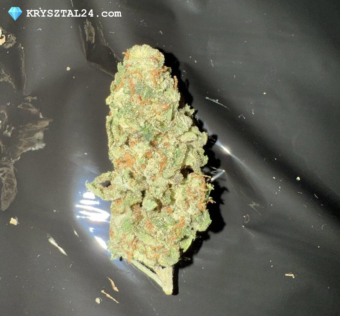Haze G13